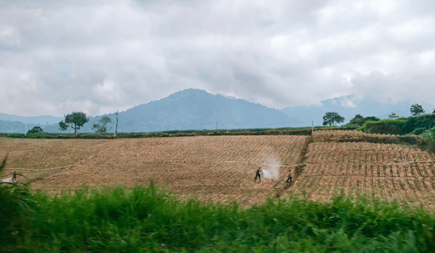 Aspectos generales y retos de la reforma procesal agraria costarricense