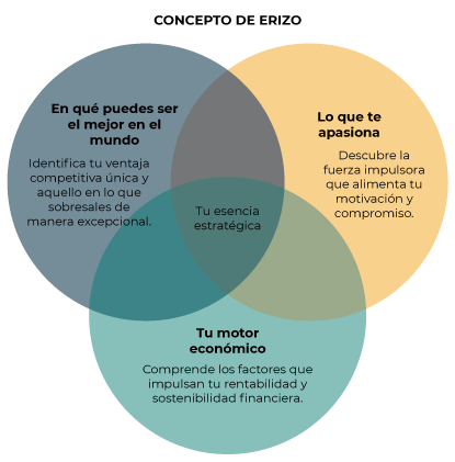 Concepto-de-erizo