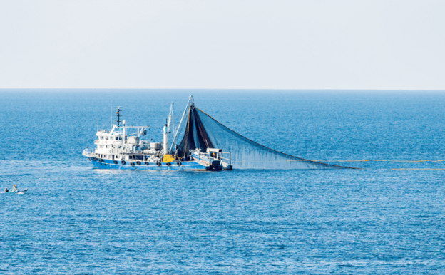 La Pesca de Arrastre ¿y la Protección Medio Ambiental de nuestros mares?