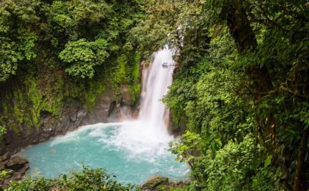 Los principios precautorio y de no regresión en la protección medio ambiental