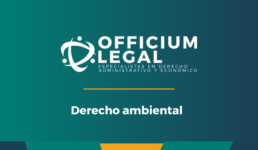 La Pesca de arrastre ¿y la Protección Medio Ambiental de nuestros mares?